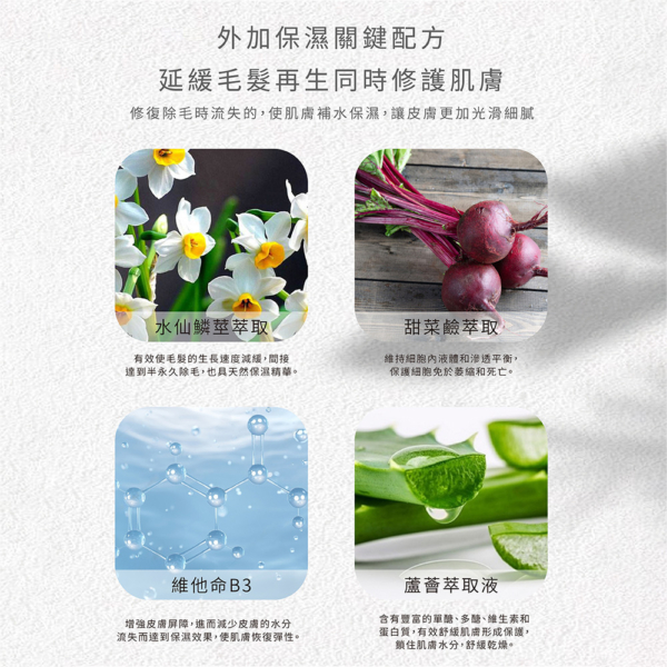 【MINI YANG】冬眠水仙抑毛噴霧 100ml